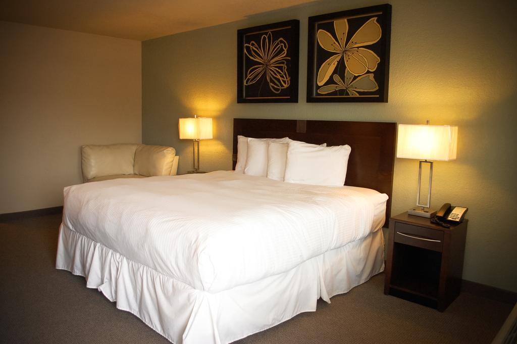 Unique Suites Hotel Charleston Buitenkant foto