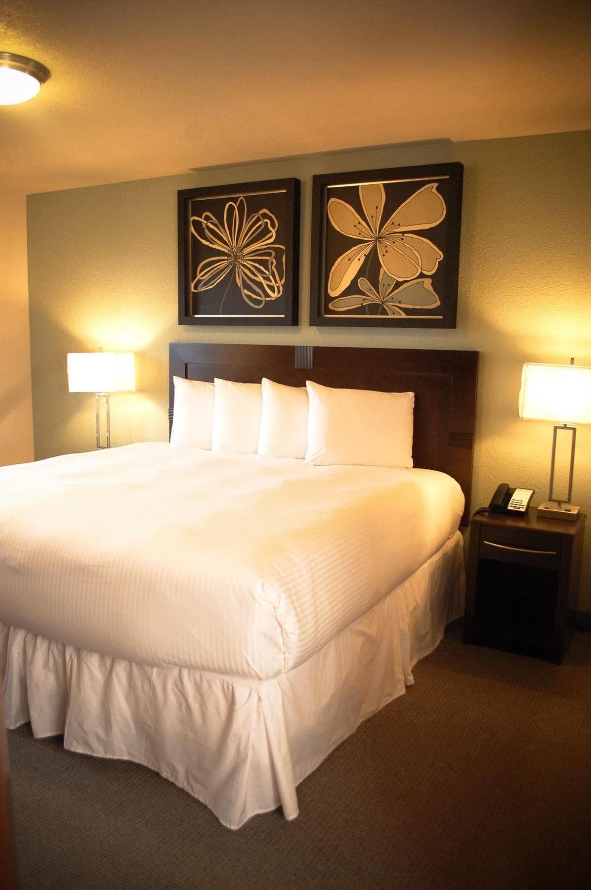 Unique Suites Hotel Charleston Buitenkant foto