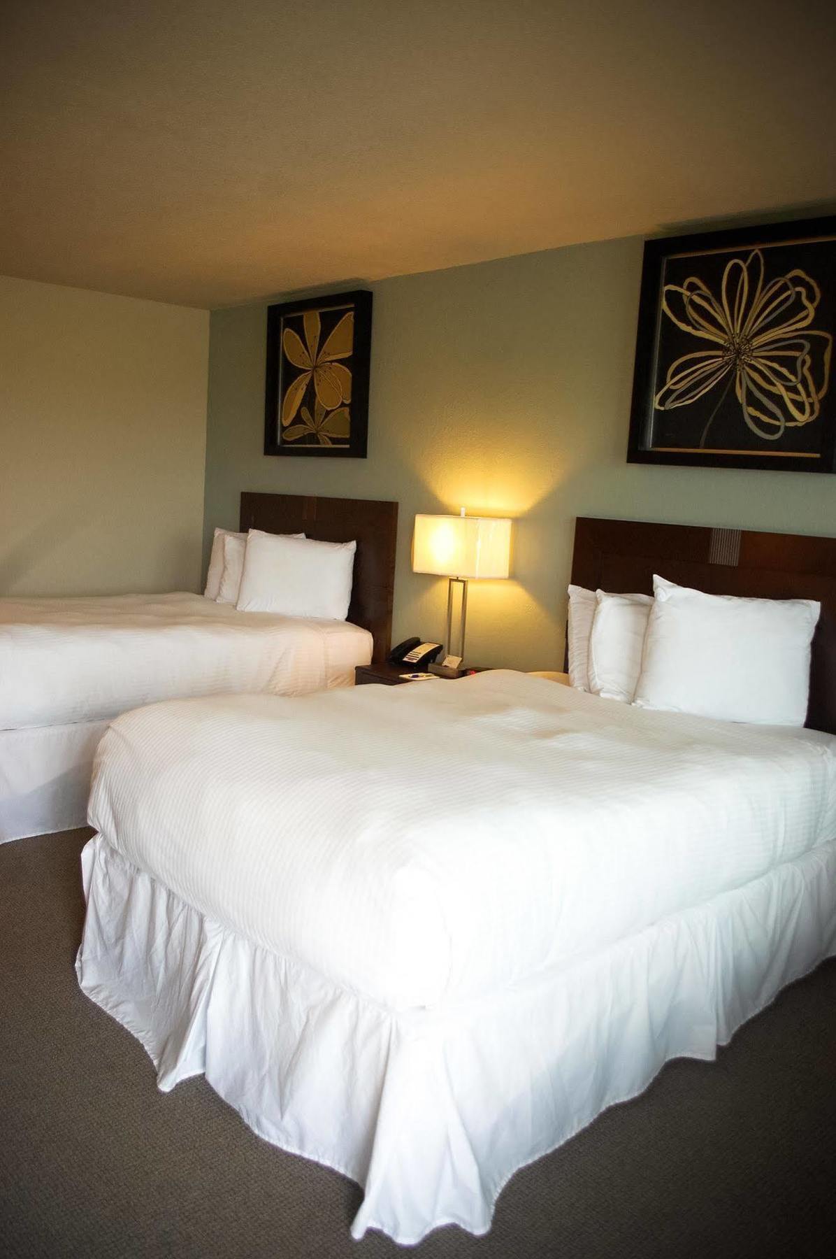 Unique Suites Hotel Charleston Buitenkant foto